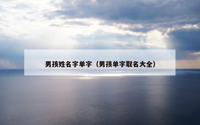 男孩姓名字单字（男孩单字取名大全）