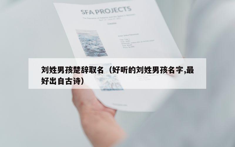 刘姓男孩楚辞取名（好听的刘姓男孩名字,最好出自古诗）
