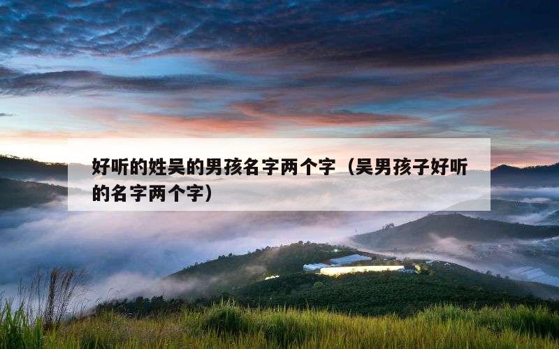 好听的姓吴的男孩名字两个字（吴男孩子好听的名字两个字）