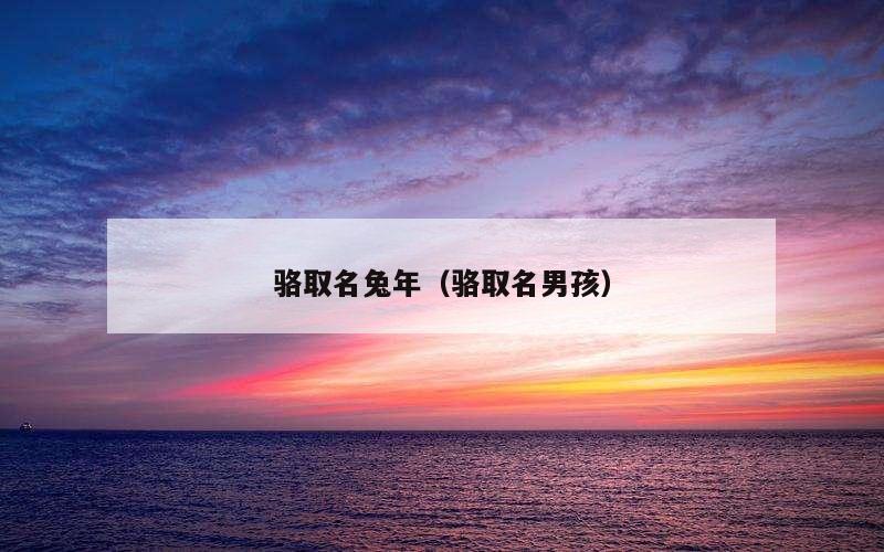 骆取名兔年（骆取名男孩）