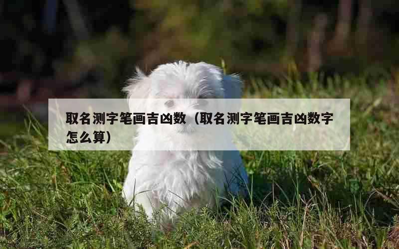 取名测字笔画吉凶数（取名测字笔画吉凶数字怎么算）