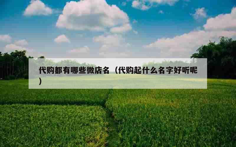 代购都有哪些微店名（代购起什么名字好听呢）