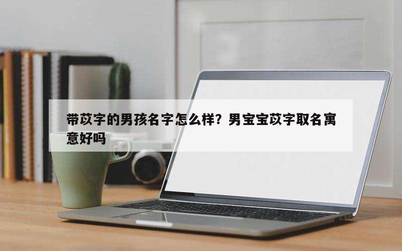 带苡字的男孩名字怎么样？男宝宝苡字取名寓意好吗