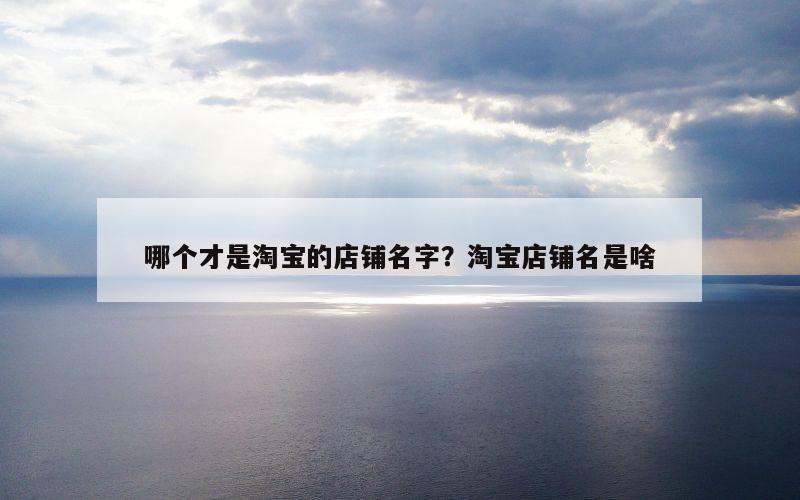哪个才是淘宝的店铺名字？淘宝店铺名是啥
