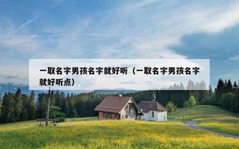 一取名字男孩名字就好听（一取名字男孩名字就好听点）