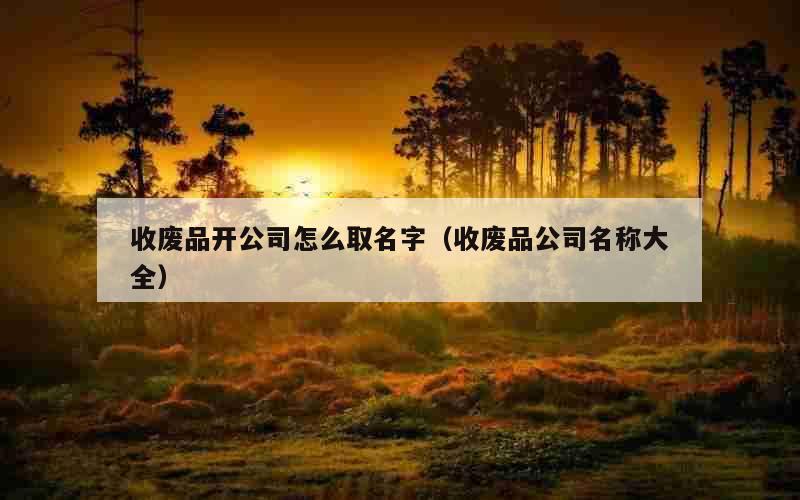 收废品开公司怎么取名字（收废品公司名称大全）