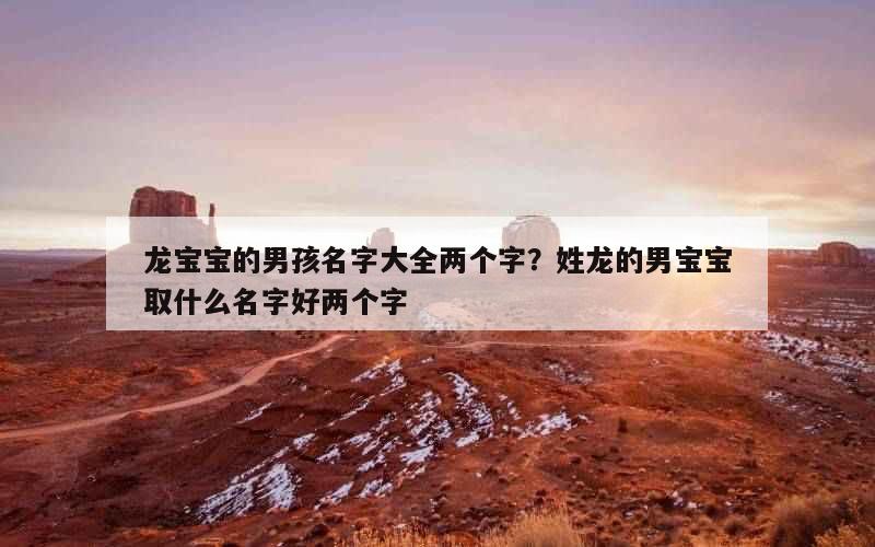 龙宝宝的男孩名字大全两个字？姓龙的男宝宝取什么名字好两个字