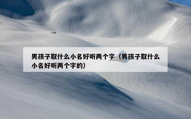 男孩子取什么小名好听两个字（男孩子取什么小名好听两个字的）