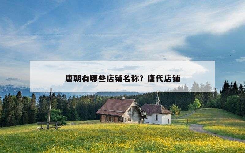 唐朝有哪些店铺名称？唐代店铺