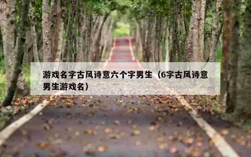 游戏名字古风诗意六个字男生（6字古风诗意男生游戏名）