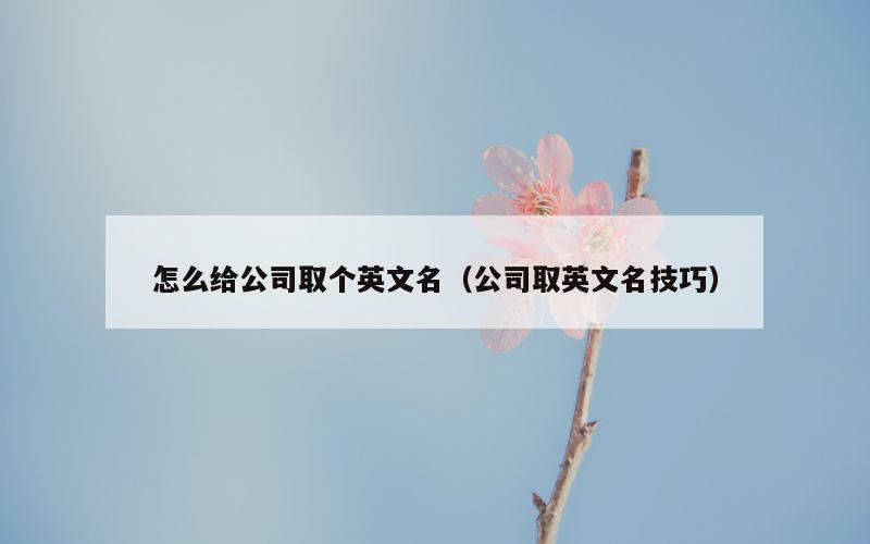 怎么给公司取个英文名（公司取英文名技巧）