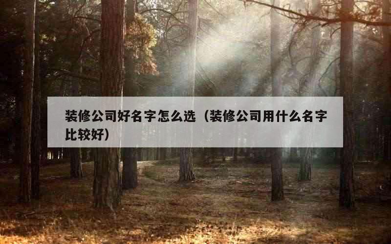 装修公司好名字怎么选（装修公司用什么名字比较好）