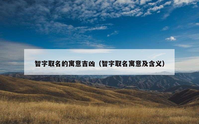智字取名的寓意吉凶（智字取名寓意及含义）