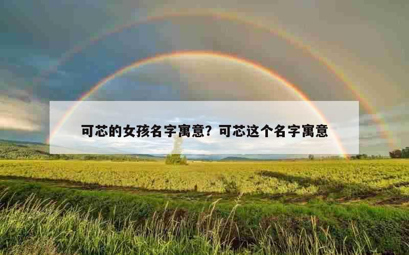 可芯的女孩名字寓意？可芯这个名字寓意
