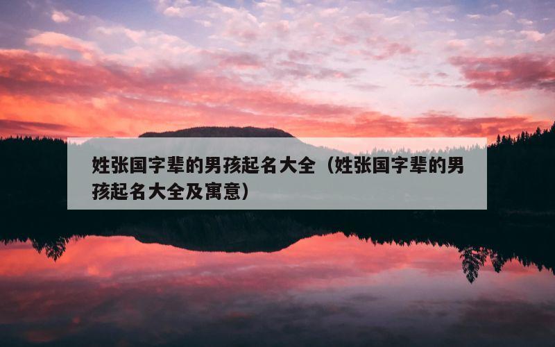 姓张国字辈的男孩起名大全（姓张国字辈的男孩起名大全及寓意）
