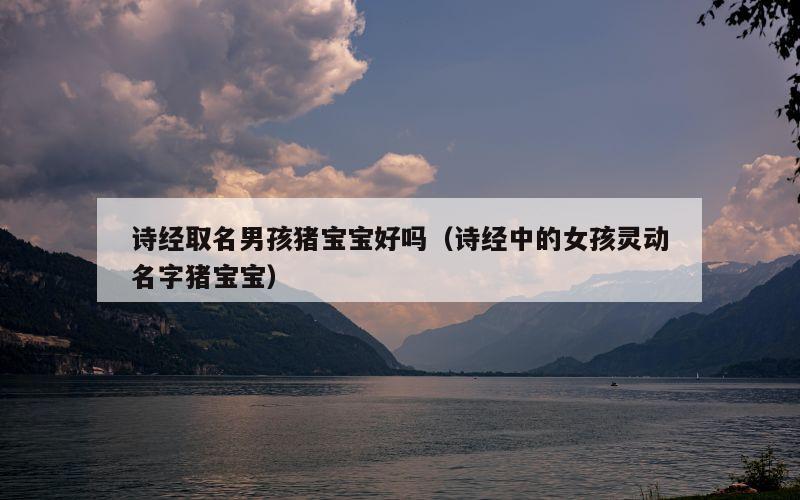 诗经取名男孩猪宝宝好吗（诗经中的女孩灵动名字猪宝宝）