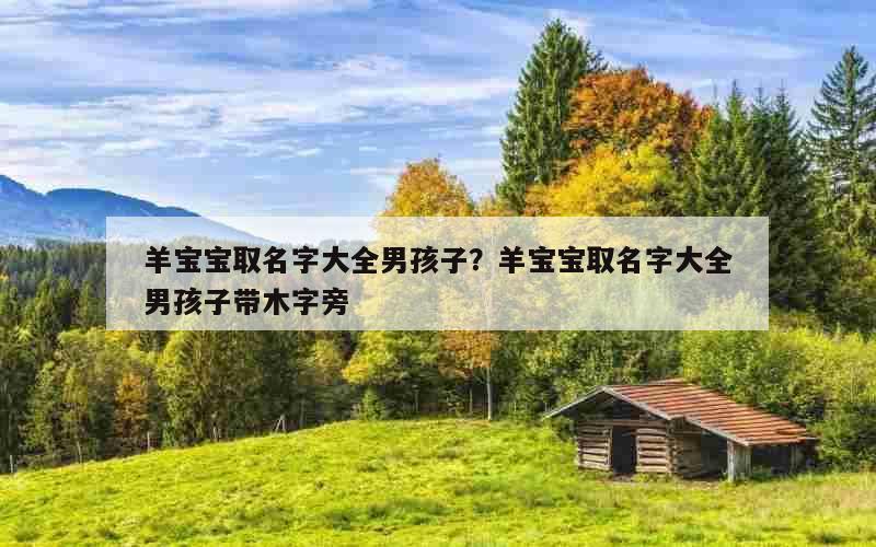 羊宝宝取名字大全男孩子？羊宝宝取名字大全男孩子带木字旁