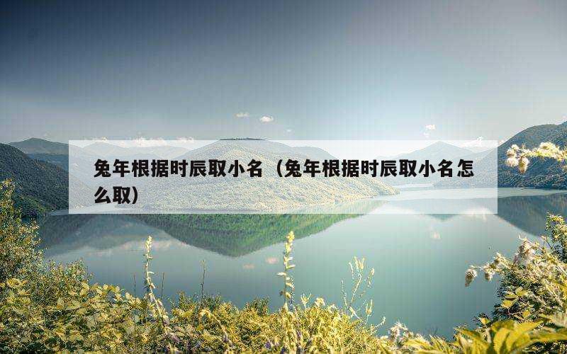 兔年根据时辰取小名（兔年根据时辰取小名怎么取）