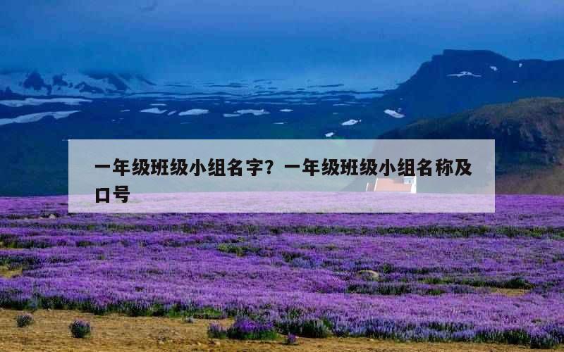 一年级班级小组名字？一年级班级小组名称及口号