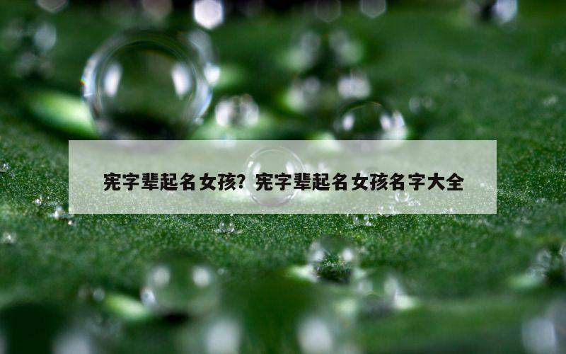 宪字辈起名女孩？宪字辈起名女孩名字大全