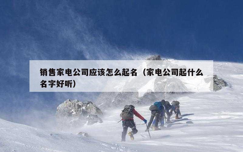 销售家电公司应该怎么起名（家电公司起什么名字好听）