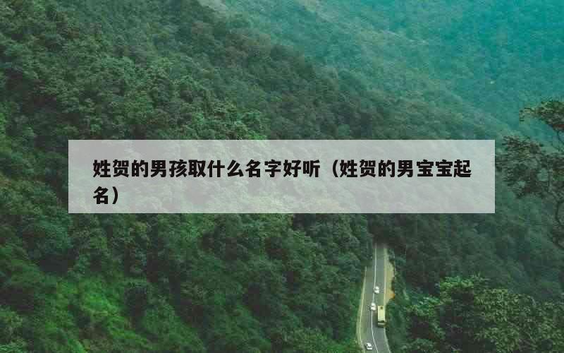 姓贺的男孩取什么名字好听（姓贺的男宝宝起名）