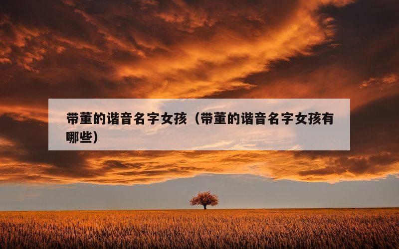 带董的谐音名字女孩（带董的谐音名字女孩有哪些）