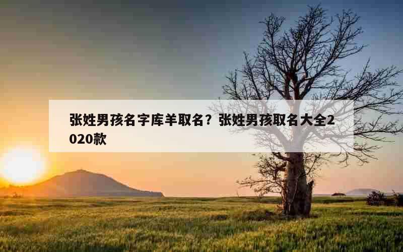 张姓男孩名字库羊取名？张姓男孩取名大全2020款