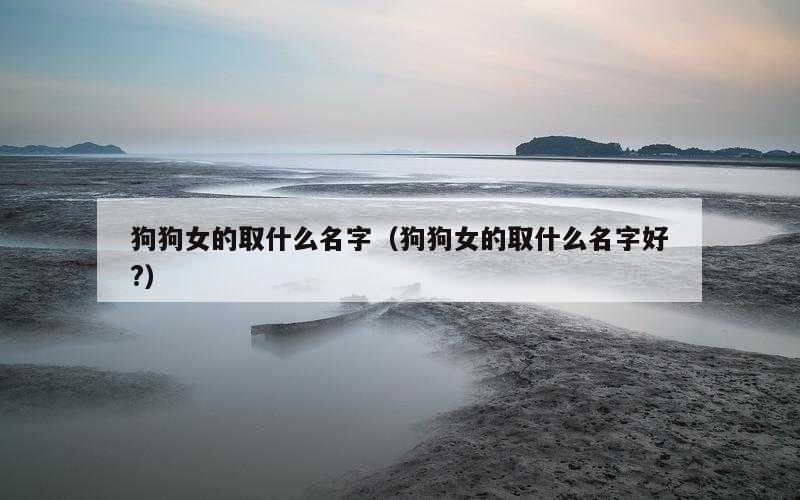 狗狗女的取什么名字（狗狗女的取什么名字好?）