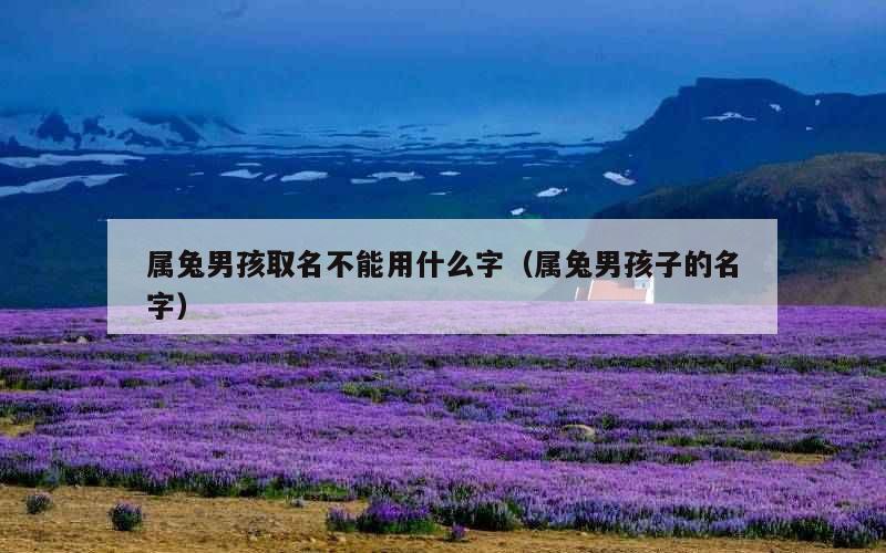 属兔男孩取名不能用什么字（属兔男孩子的名字）