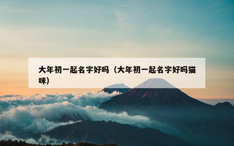 大年初一起名字好吗（大年初一起名字好吗猫咪）