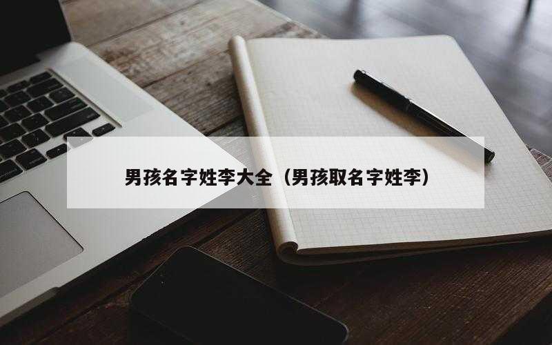 男孩名字姓李大全（男孩取名字姓李）