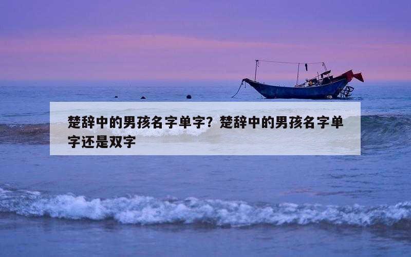楚辞中的男孩名字单字？楚辞中的男孩名字单字还是双字