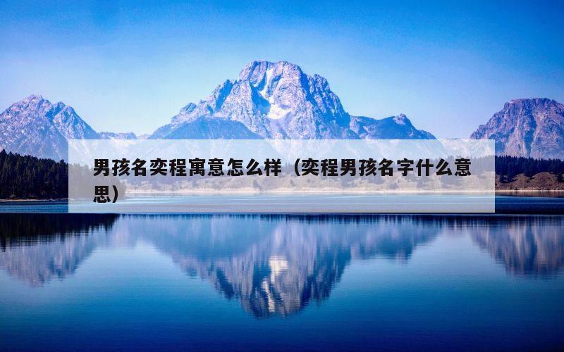 男孩名奕程寓意怎么样（奕程男孩名字什么意思）