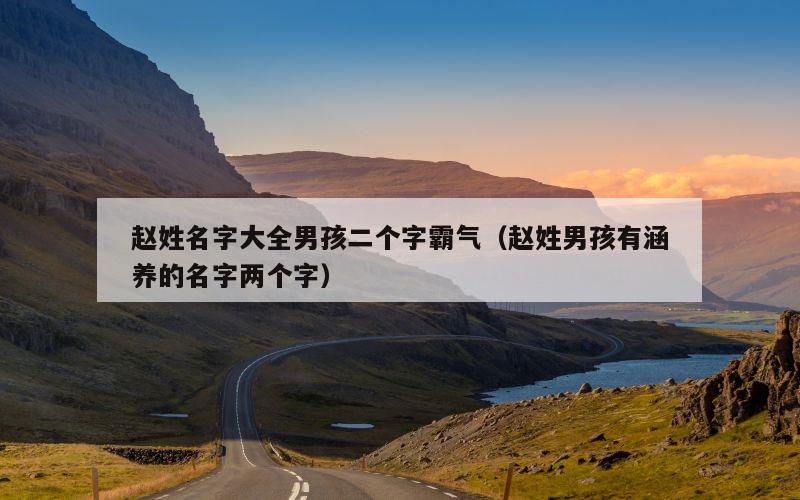 赵姓名字大全男孩二个字霸气（赵姓男孩有涵养的名字两个字）