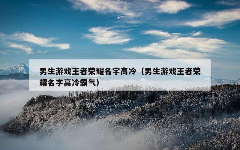 男生游戏王者荣耀名字高冷（男生游戏王者荣耀名字高冷霸气）
