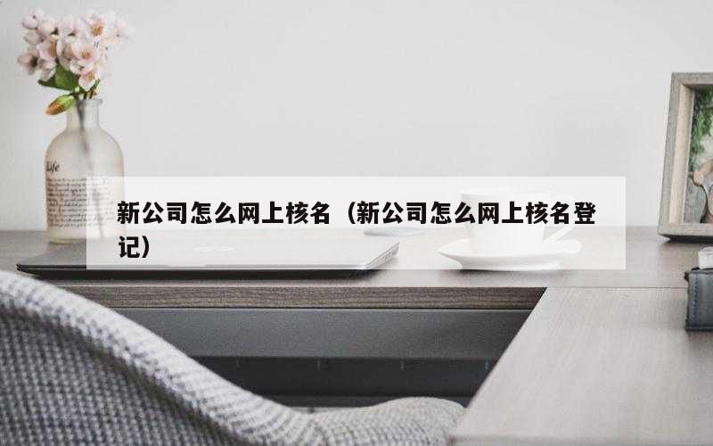 新公司怎么网上核名（新公司怎么网上核名登记）
