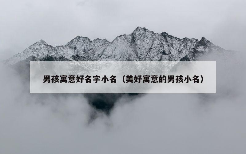 男孩寓意好名字小名（美好寓意的男孩小名）