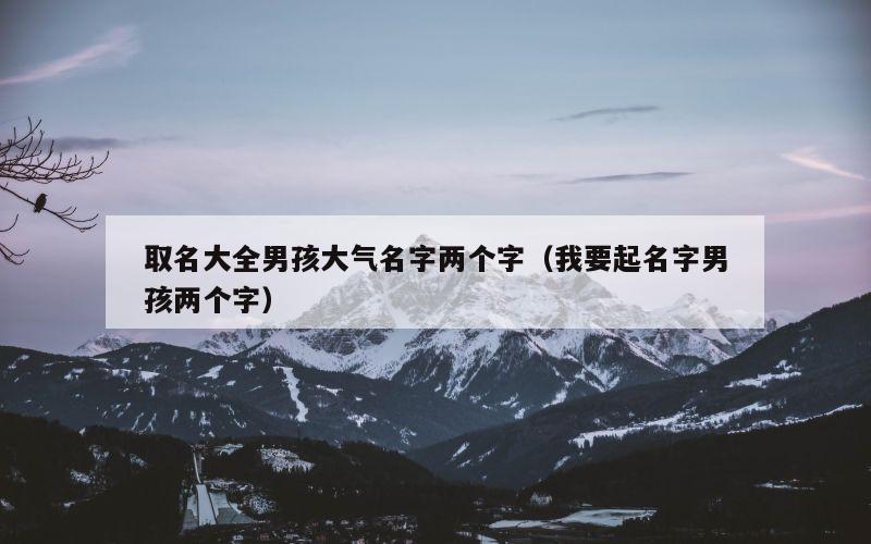 取名大全男孩大气名字两个字（我要起名字男孩两个字）