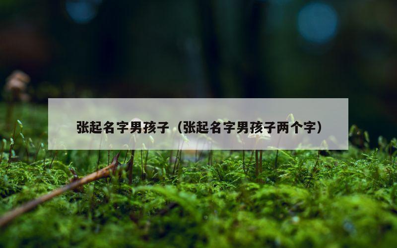 张起名字男孩子（张起名字男孩子两个字）