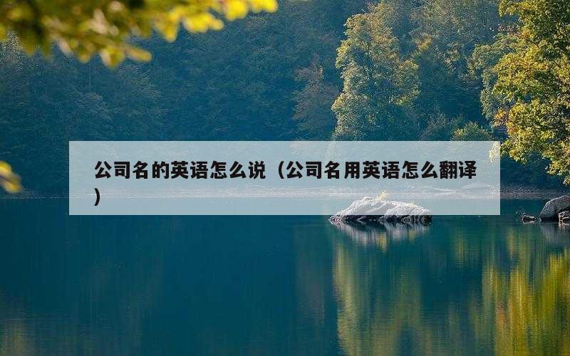 公司名的英语怎么说（公司名用英语怎么翻译）