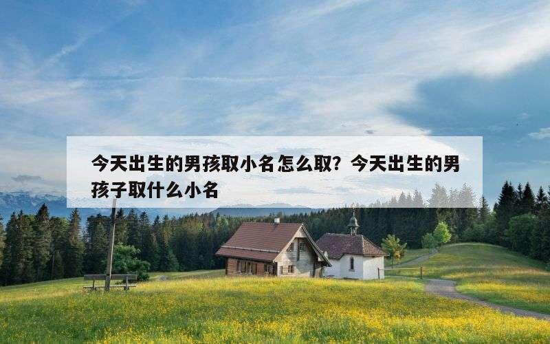 今天出生的男孩取小名怎么取？今天出生的男孩子取什么小名