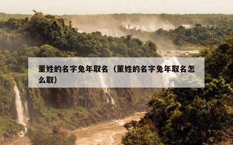 董姓的名字兔年取名（董姓的名字兔年取名怎么取）