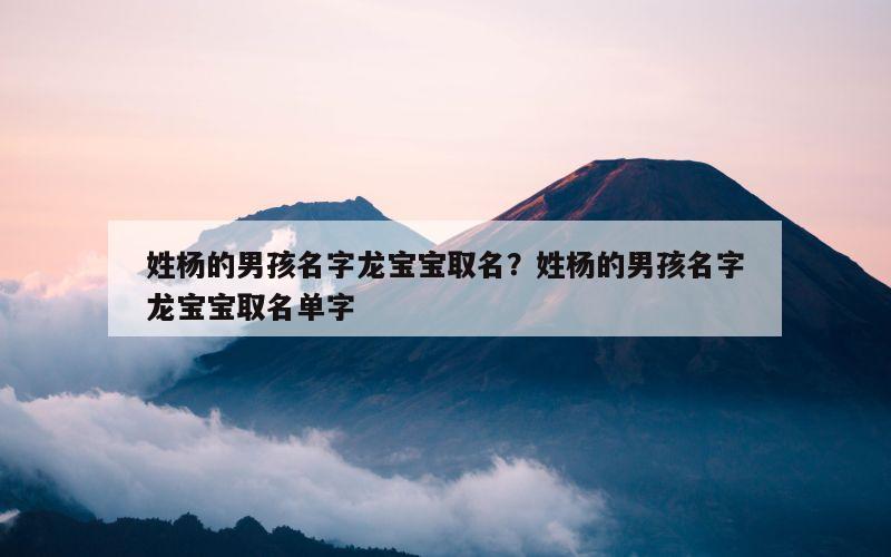 姓杨的男孩名字龙宝宝取名？姓杨的男孩名字龙宝宝取名单字