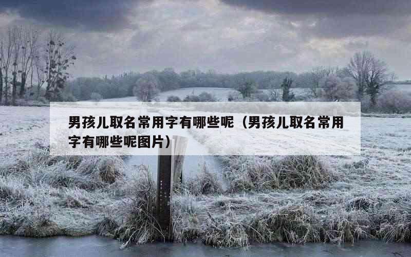 男孩儿取名常用字有哪些呢（男孩儿取名常用字有哪些呢图片）