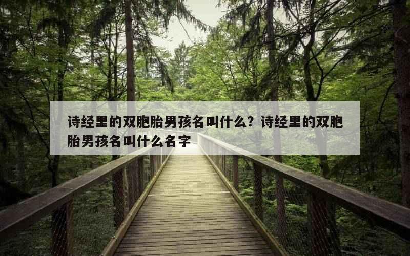 诗经里的双胞胎男孩名叫什么？诗经里的双胞胎男孩名叫什么名字