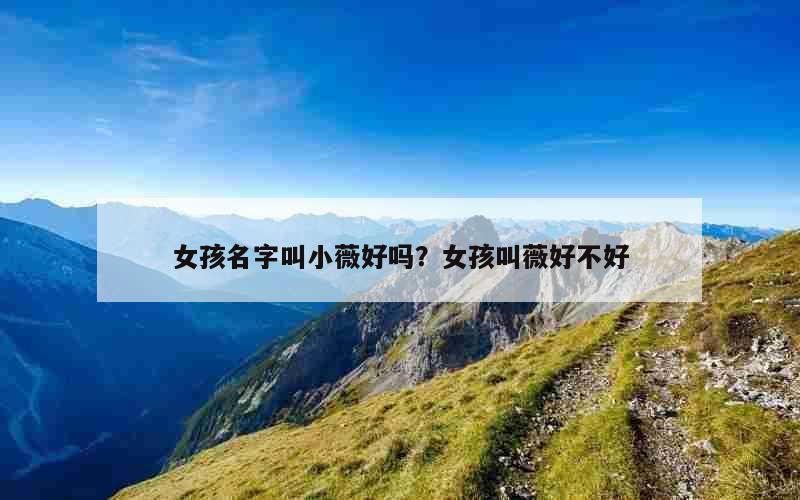 女孩名字叫小薇好吗？女孩叫薇好不好