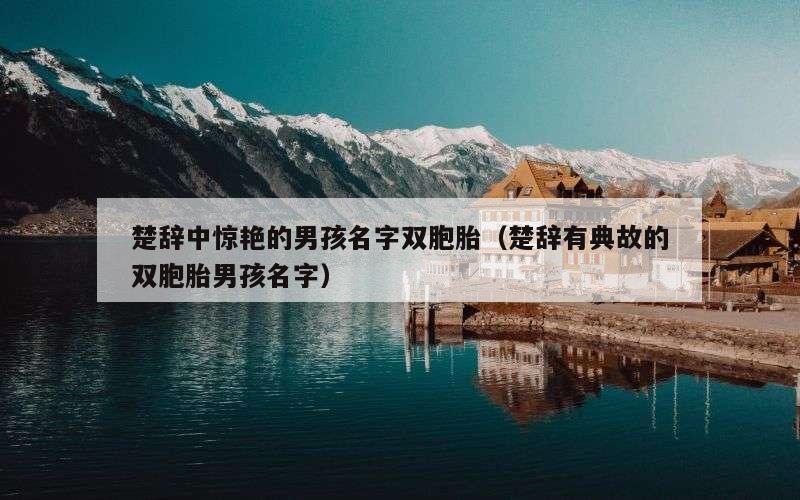 楚辞中惊艳的男孩名字双胞胎（楚辞有典故的双胞胎男孩名字）