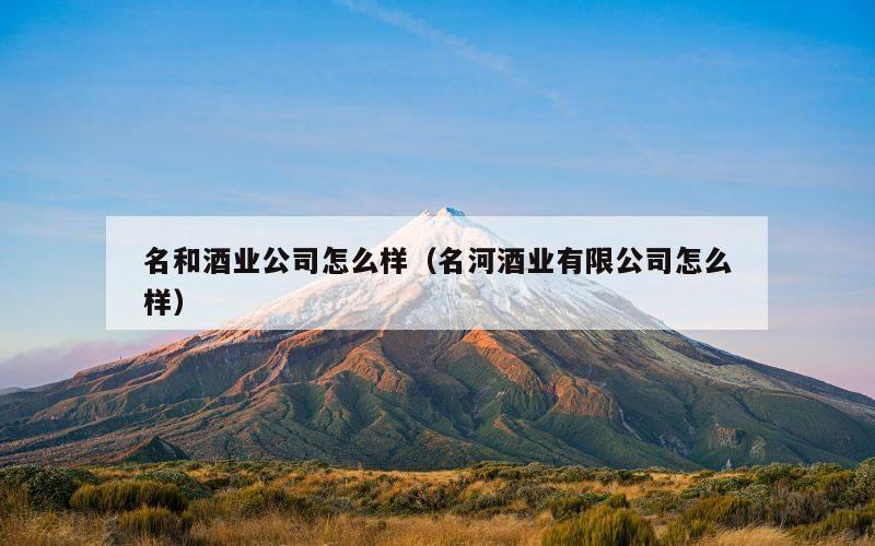 名和酒业公司怎么样（名河酒业有限公司怎么样）