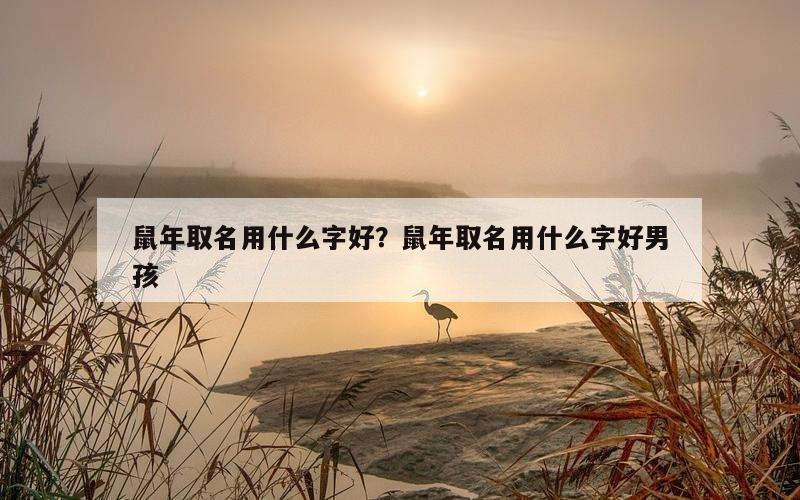 鼠年取名用什么字好？鼠年取名用什么字好男孩